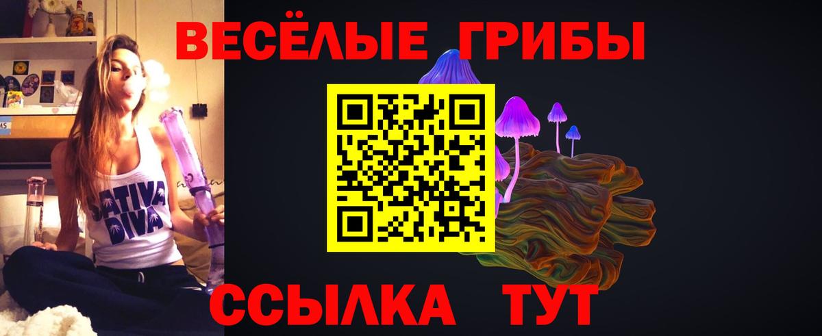 хочу наркоту  Вход с VPN  Добрянка  Псилоцибиновые грибы MAGIC MUSHROOMS  Галлюциногенные грибы Psilocybine cubensis 